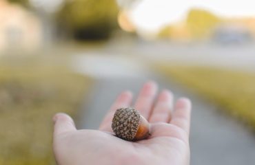 caleb-lucas-tE9ziE9ULaA-unsplash
